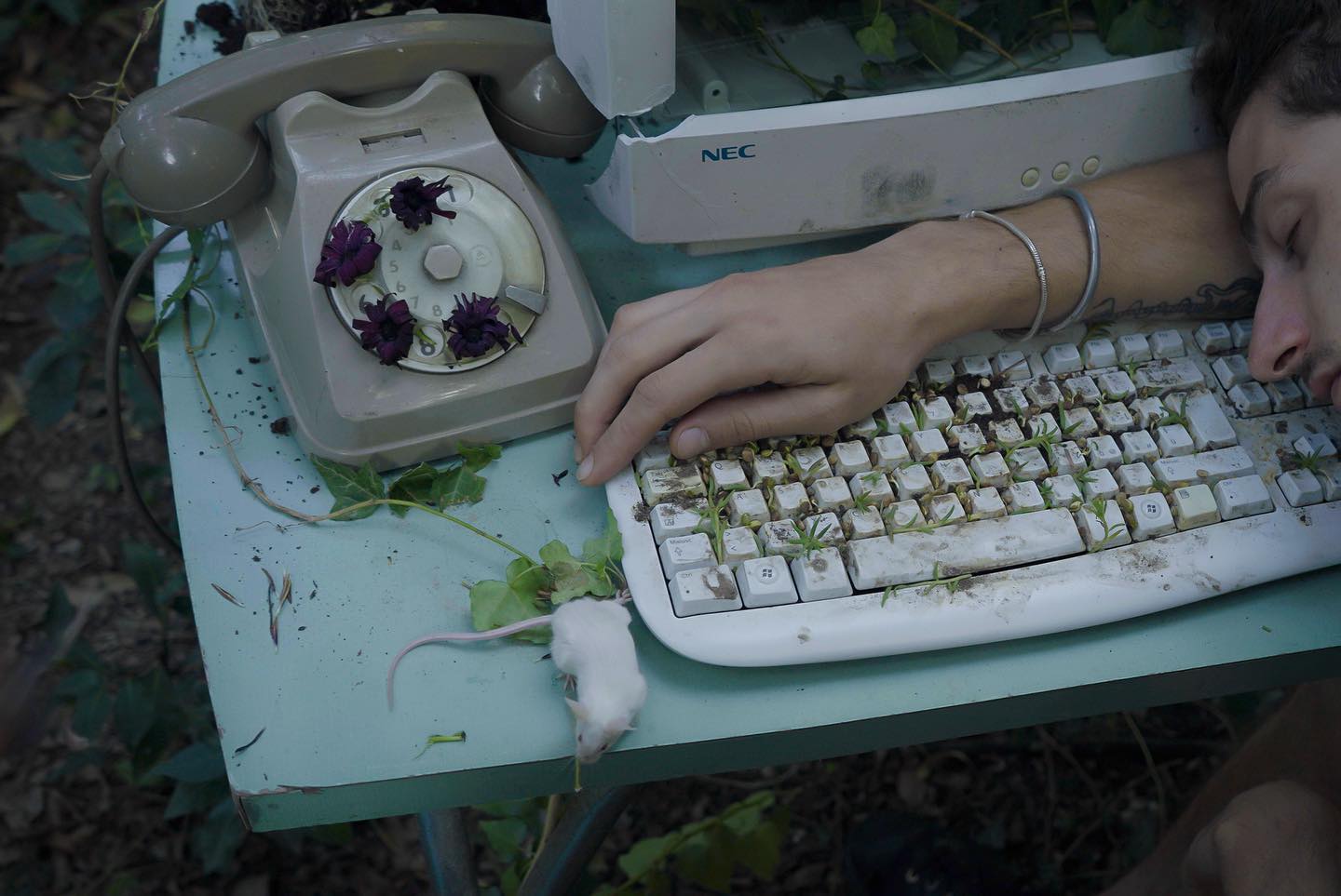 Inni — Seeds