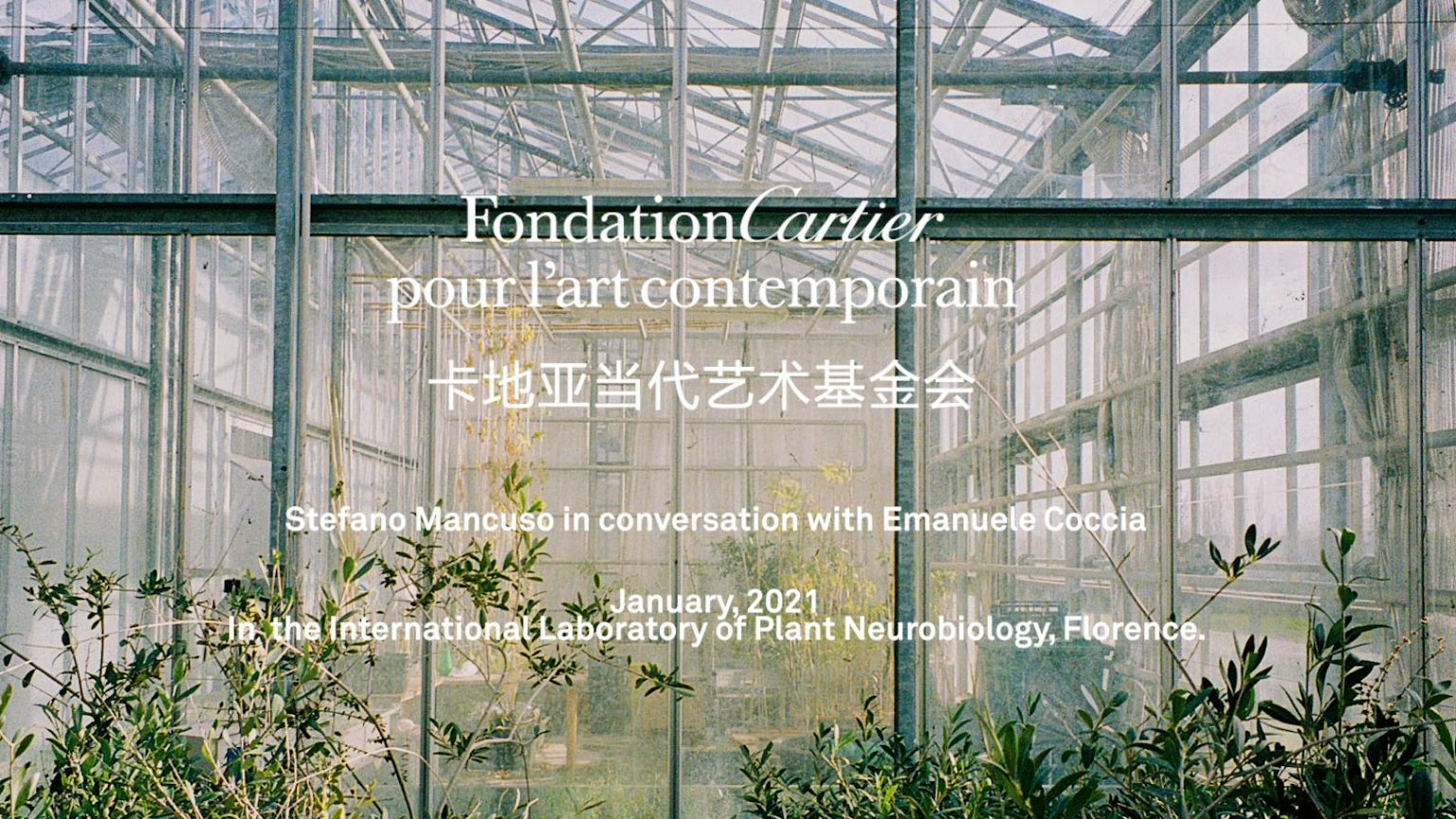 Fondation Cartier pour l'Art Contemporain — Trees — Stefano Mancuso & Emanuele Coccia